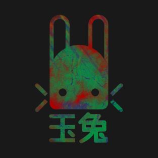 Jade Rabbit Destiny, Destiny Poster, Destiny 2 Caiatl, Destiny Tattoo, Destiny 2 Stasis, Floor Signage, Destiny 2 Memes Hilarious, Jade Rabbit, Destiny Bungie