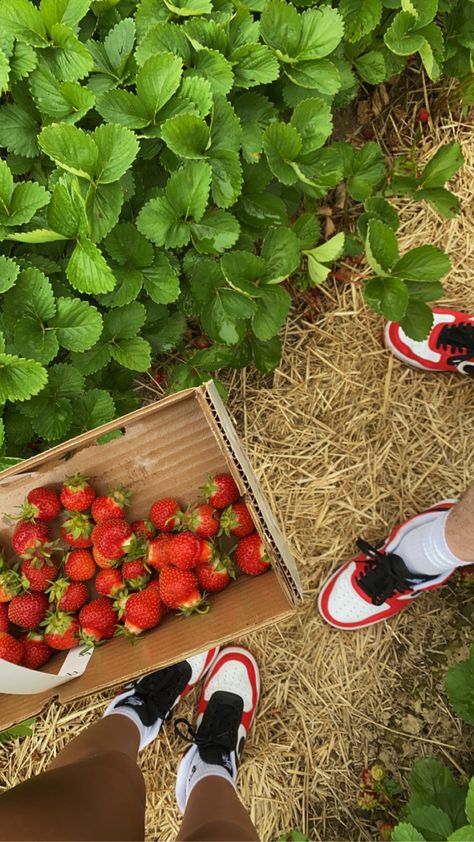 strawberry picking, strawberry picking aesthetic, strawberry picking outfits, that girl, couples date idea, date aesthetic, summer ideas, summer bucketlist Strawberry Picking Date, Strawberry Picking Aesthetic, Strawberry Picking Outfit, Aesthetic Summer Ideas, Picking Outfits, Baddie Inspiration, Pie Ideas, Alphabet Dating, Aesthetic Strawberry