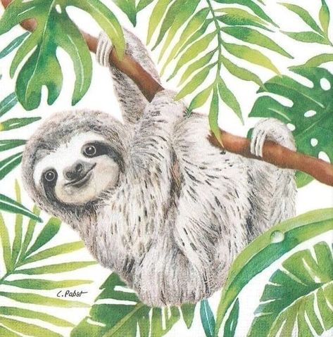 sloths lovers on Instagram Cute Sloth Pictures, Sloth Drawing, Sloth Tattoo, Sloth Art, A Sloth, Sloth Lovers, Cute Sloth, Watercolor Animals, Animal Illustration