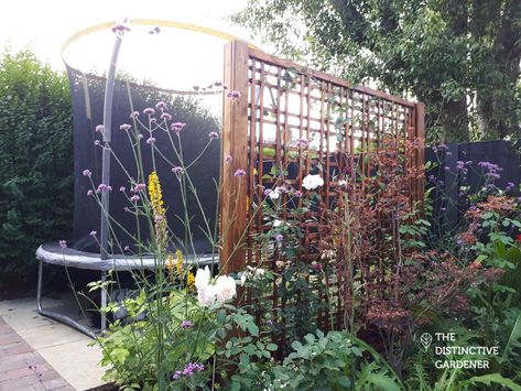 Fantastic Family Garden with Terrace, Trampoline…. and Rabbit Run! Hide Trampoline In Garden, Landscape Around Trampoline, Trampoline In Garden, Large Rabbit Run, Trampoline Ideas, Garden Trampoline, Small Trampoline, Garden Mulch, Limestone Paving