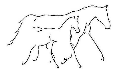 Horse and foal silhouette Horse And Foal Tattoo, Horse And Foal, Tattoo Horse, Horse Outline, Horse Stencil, Horse Tattoo Design, Horse Sketch, Etiquette Vintage, Mosquito Control