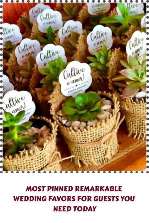 [SponsoredPost] Succulent Cactus Plastic Pots Souvenir Wedding Party Favor Pot Jute Cover Tag | Ebay #uniqueweddingfavorsforguests Wedding Souvenirs For Guests Unique, Souvenir Wedding, Twine Bow, Wedding Gifts Packaging, Wedding Giveaways, Pot Cover, Wedding Souvenirs, Unique Wedding Favors, Wedding Favors For Guests