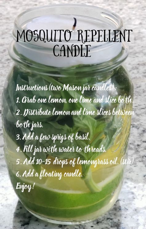 Mosquito Repellent Candles, Diy Mosquito Repellent Candle, Diy Candle Business, Mosquito Repellent Candle, Mosquito Repellent Homemade, Lemongrass Candle, Mosquito Traps, Diy Mosquito Repellent, Natural Pesticides