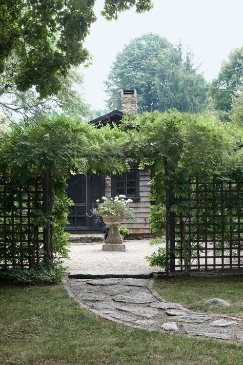 Privacy Landscaping Ideas, Privacy Landscaping, Garden Vines, Garden Screening, Patio Diy, Landscaping Tips, Garden Tours, Back Garden, Front Garden