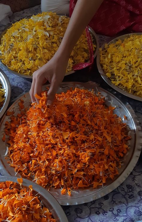 Diwali Cleaning Snap, Diwali Morning Snap, Fake Wedding Snaps Indian, Diwali Snap, Holi Aesthetic, Candy Theme Decorations, Pretty Flowers Photography, One Word Instagram Captions, Diwali Pictures