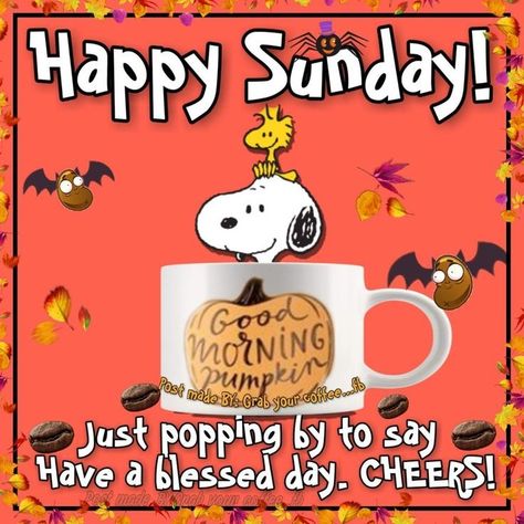 Snoopy Good Morning, Good Morning God, Good Night Blessings Quotes, Weekend Greetings, Happy Sunday Morning, Good Morning Snoopy, Sunday Greetings, Good Sunday Morning, Good Morning Saturday