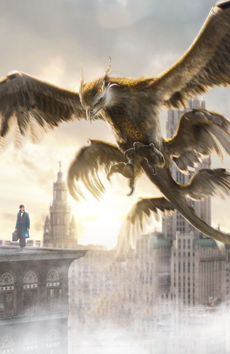 Fantastic Beasts Thunderbird, Fantastic Beasts Creatures, Harry Potter Creatures, Fantasic Beasts, Fantastic Beasts Movie, Beast Creature, Harry Potter Artwork, Fantasy Beasts, Mythical Beast