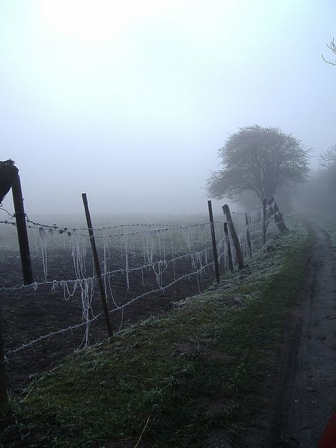 cloture | by Al Rios Rio Core Aesthetic, Anglo Gothic, Gothic Americana, Farm Aesthetic, Dark Naturalism, English Projects, Farm Photography, My Fantasy World, Dark Grunge