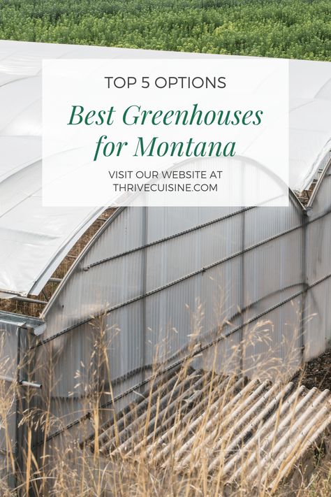 See the Best Greenhouses for Montana - Top 5 Options! Looking for greenhouse ideas for your home? Take a look at this list of greenhouse plans! Diy Greenhouse Plans, Best Greenhouse, Winter Greenhouse, Greenhouse Ideas, Polycarbonate Panels, Greenhouse Plans, Diy Greenhouse, Greenhouse Gardening, Greenhouses