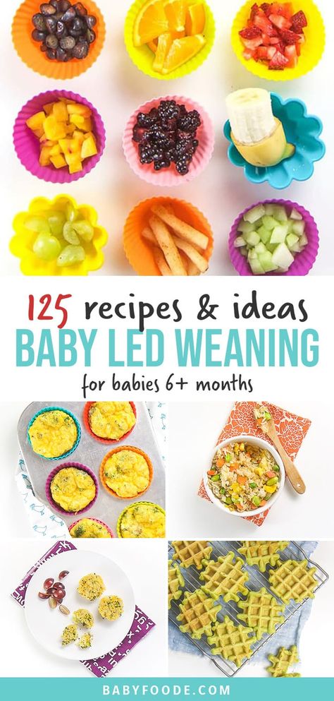 These 125 Baby Led Weaning Foods are going to be your ultimate guide if you are doing BLW with your baby! Filled with over 80 starter foods and 45 easy recipes that are perfect for baby 6 months and up! #babyledweaning #starterfoods #recipes #baby6months Babyledweaning 6 Months Recipes, 6 Month Blw Recipes, Blw First Foods 6 Months, Blw Meals 6 Months, Homemade Baby Snacks 6 Months, Blw 9 Months, Baby Leading Weaning Recipes, Blw Recipes 6 Months, Baby Led Weaning Foods