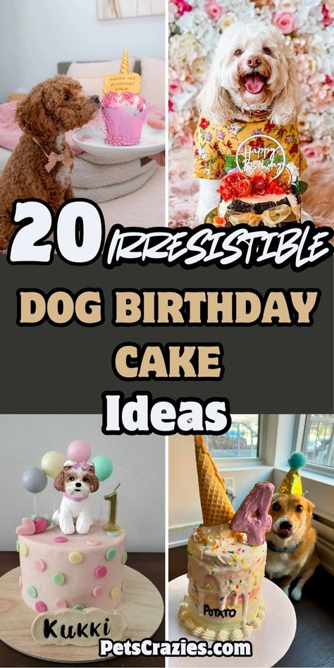 Celebrate your dog's special day with these 20 irresistible birthday cake ideas! 🐾🎂 Perfect for pups of all sizes. Get inspired and bake the perfect treat! Cake For Dogs Birthday Ideas, Spoiled Dog Cake, Dog Bday Cake, Dog Birthday Cake Ideas, Puppy Dog Cakes, Puppy Birthday Cakes, Birthday Cale, Dog Clothes Patterns Sewing, Dog's Birthday