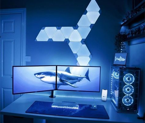 A cold-blue dual-monitor shark setup.... Shark Gaming Setup, Ocean Gaming Setup, Dual Monitor Setup Gaming, Best Pc Setup, Kawaii Nintendo Switch, Pink Switch, Kawaii Nintendo, Nintendo Switch Controller, Dual Monitor Setup