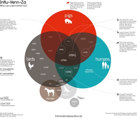 H1N1? H2N5? H7N9? Bird flu? Swine flu? Australian Flu? Feverish with incomprehension? Let our Influ-Venn-Za diagram relieve  you with a soothing lozenge of understanding. Healthcare Advertising, Data Visualization Design, World Data, Venn Diagram, Information Graphics, Information Design, Data Visualization, Infographic Design, Pigs