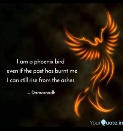 Phoenix Bird Quotes, Phoenix Quotes, Spirituality Energy Universe, Phoenix Artwork, Words Of Support, Bird Quotes, Pisces Quotes, Amazing Inspirational Quotes, Phoenix Bird