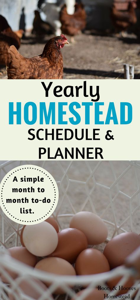 Homestead Schedule, Acre Homestead, Homesteading Diy, Homestead Farm, Homestead Gardens, Homesteading Skills, Yearly Goals, Urban Homesteading, Mini Farm