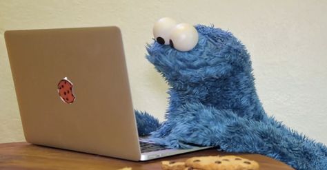 Cookie Monster just wants to break the Internet. But how? National Cookie Day, Brown Hairstyles, Hair Color Brown, Chocolate Christmas, Cookie Monster, Chocolates, The Internet, Laptop, Hairstyles