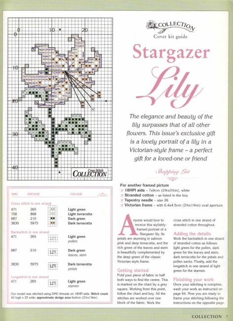 Gallery.ru / Фото #4 - Cross Stitch Collection 046 - tymannost Lily Cross Stitch, Victorian Cross Stitch, Stitch Collection, Stargazer Lily, Cross Stitch Collection, Exclusive Gift, Victorian Fashion, Cross Stitch, Lily