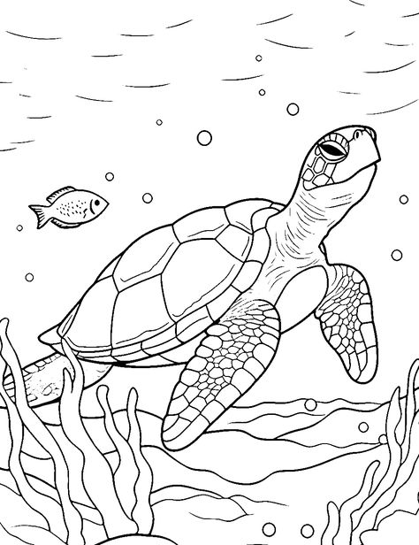 Turtle Coloring Pages Free Printable, Turtle Outline, Turtle Coloring, Ocean Coloring Pages, Printable Flower Coloring Pages, Turtle Coloring Pages, Spiderman Coloring, Puppy Coloring Pages, Summer Coloring