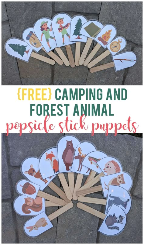 This camping and forest animal stick puppets activity is great for younger kids to play with on your next visit to nature. Forest Animals Science Activities, Forest Animal Sensory Activities, Forest Animal Theme Preschool Activities, Preschool Forest Animal Crafts, Forest Animals Preschool Theme, Woodland Animal Activities For Preschool, Woodland Creatures Preschool Activities, National Park Crafts For Kids, Forest Crafts For Toddlers