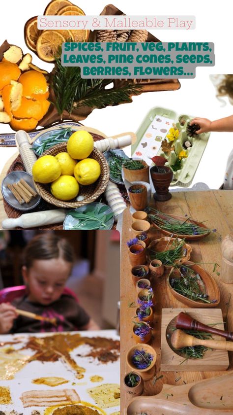 Heuristic Play, Early Years, Pine Cones, Seeds, Fruit, Plants