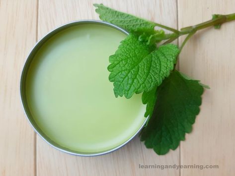 Lemon Balm Lip Balm Diy, Cold Sore Lip, Lemon Balm Recipes, Lip Balm Diy, Lip Balm Recipe, How To Grow Lemon, Balm Recipe, Lip Balm Recipes, Oil Diffuser Recipes