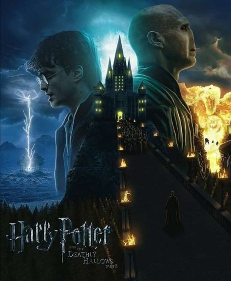 Harry Potter Movie Poster Art, Harry Potter And The Deathly Hallows, Harry Potter Graphic Design, Deathly Hallows Book, Fan Art Poster, Harry Potter Voldemort, Deathly Hallows Part 1, Deathly Hallows Part 2, The Deathly Hallows