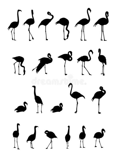 Flamingo Silhouette, Flamingo Vector, Animal Wildlife, Background Illustration, Business Card Mock Up, Flamingo, Art Projects, White Background, Stock Vector