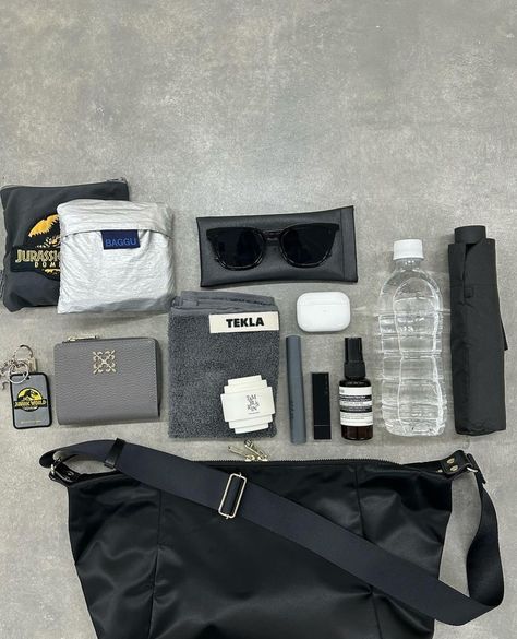 Airport Essentials, Minimalist Bags, What's In My Backpack, Everyday Bag Essentials, Everyday Carry Bag, What's In My Purse, Backpack Essentials, Handbag Essentials, Bag Insert