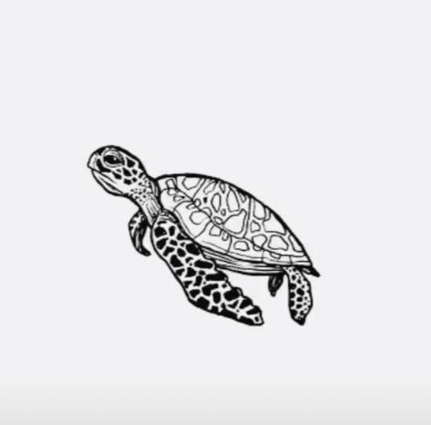 Turtle Drawing Tattoo, Cool Sea Turtle Tattoos, Old School Turtle Tattoo, Simple Turtle Tattoo, Sea Turtle Tattoos, Cute Turtle Tattoo, Oz Tattoo, Sea Turtle Drawing, Stippling Drawing