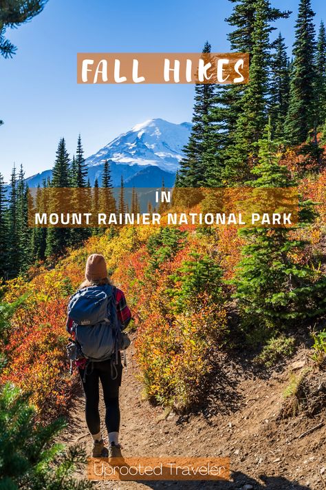 Hiking Fall, Fall Hikes, Pacific Northwest Travel, Mt Rainier National Park, Warm Apple Cider, Washington Travel, Backcountry Camping, Hiking National Parks, Warm Apple