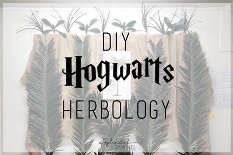 The Ultimate Hogwarts Dinner Event | Herbology Herbology Hogwarts, Herbology Classroom, Fantasic Beast, Harry Potter School Books, Harry Potter Herbology, Harry Potter Plants, Harry Potter Activities, Harry Potter Halloween Party, Harry Potter School