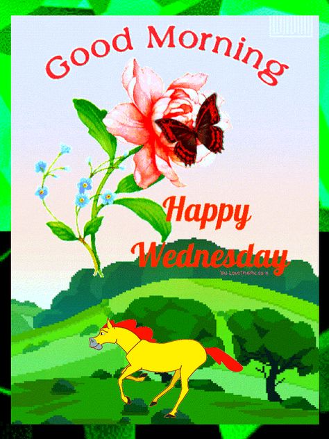 Good Morning Happy Wednesday Images Hd, Online Gif, Wednesday Morning Greetings, Free! Gif, Good Wednesday, Good Morning Images Hd, Wednesday Morning, Good Morning Animation, Text Animation