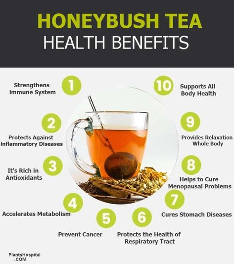 9 Proven Health Benefits Of Honeybush Tea (Cyclopia Subternata) 2 Honeybush Tea, Strengthen Immune System, Food Health Benefits, Tea Health Benefits, Asthma Symptoms, Tongue Health, Tea Benefits, Essential Nutrients, Digestion Problems