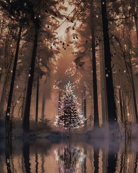 My Enchanted Forest via Yolanda Vanveen Christmas Instagram Pictures, Beautiful Winter Pictures, Christmas Tree Forest, Picture Tree, Christmas Forest, Sky Landscape, Holiday Sparkle, Winter Scenery, Forest Design