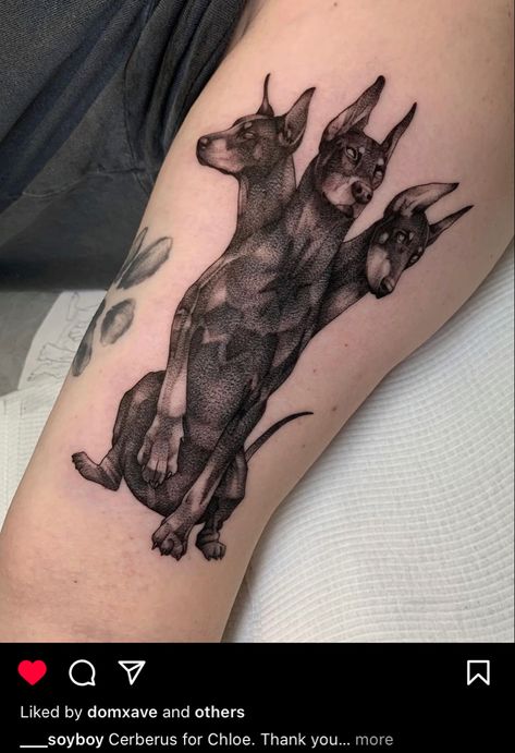 Dark Femme Tattoo Ideas, 3 Headed Doberman Tattoo, Rabid Dog Tattoo, Double Headed Animal Tattoo, Dead Animal Tattoo, 3 Headed Dog Tattoo, Hell Hound Tattoo, Three Headed Dog Tattoo, Cerebus Dog Tattoo