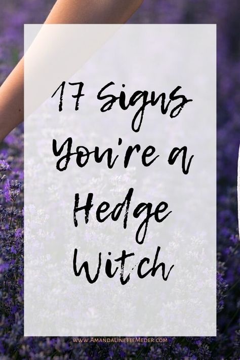 Garden Witch Tattoo, Hedge Witch Tattoo, Wise Woman Aesthetic, Natural Fence Ideas, Hedge Witch Aesthetic, Red Robin Hedge, Lily Pilly, Buxus Hedge, Magical Intentions