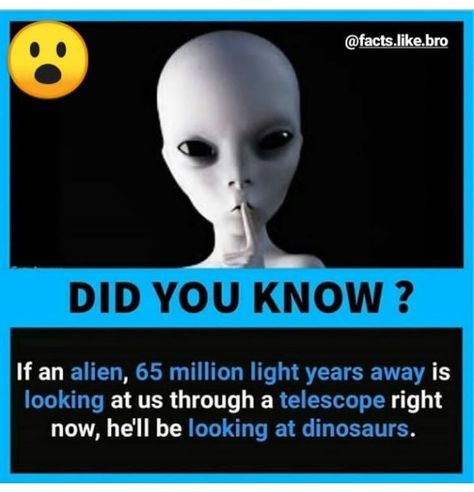 Fun Facts Mind Blown, Wierd Facts, Cool Science, Psychological Facts Interesting, Astronomy Facts, Interesting Science Facts, Scary Facts, True Interesting Facts, Cool Science Facts