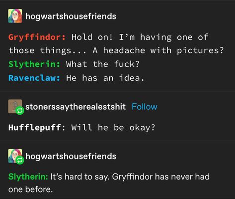 Harry Potter Founders, Hogwarts House Headcanons, Houses Of Hogwarts Memes, Hogwarts Houses Funny, Hp Houses, Glume Harry Potter, Harry Potter Memes Hilarious, Slytherin Pride, Harry Potter Puns