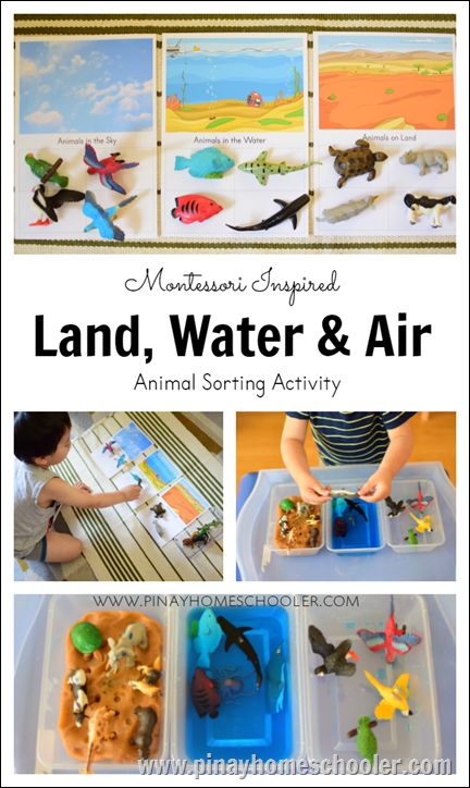 Introducing Toddlers to Animals in Land, Water and Air | The Pinay Homeschooler Montessori Science, Montessori Geography, Maluchy Montessori, Diy Montessori, Montessori Lessons, Montessori Practical Life, Aktiviti Kanak-kanak, Montessori Toddler Activities, Montessori Preschool