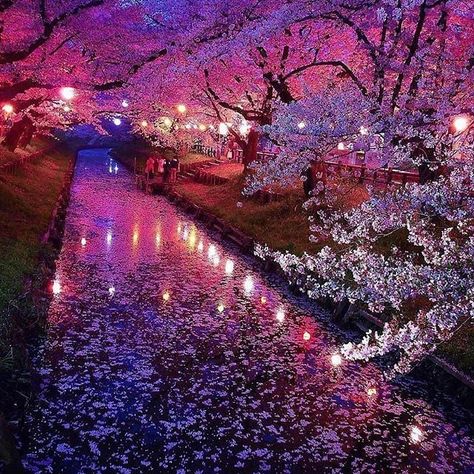 Wow! Absolutely Beautiful #Kawagoe #Japan #Followme and tag your friends and family so they can be inspired by #luxurytravel as well.  : @t.hagi1013 Kawagoe Japan, Japan Cherry Blossom, Cherry Blossom Wallpaper, Cherry Blossom Japan, Japan Photo, Happy Vibes, Blossom Trees, Beautiful Places To Travel, Beautiful Places To Visit