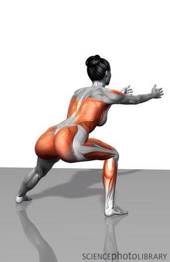 Anatomy of lateral lunges rear view.  A great Glute workout to isolate the glutes from the quads. Lunge Workout, Modele Fitness, Yoga Anatomy, Lateral Lunges, 30 Day Fitness, 30 Day Workout Challenge, Body Fitness, Keep Fit, Leg Workout