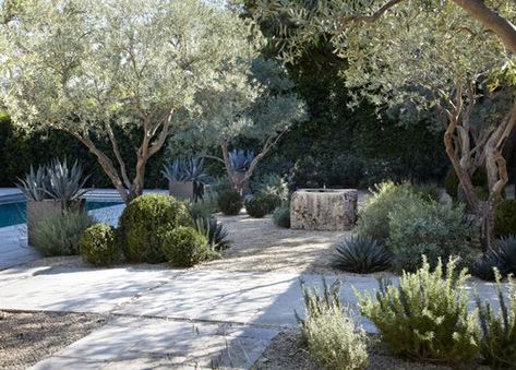 Moderne Have, Mediterranean Garden Design, Garden Vertical, Garden Interior, Mediterranean Landscaping, Dry Garden, Pea Gravel, Gravel Garden, Desert Garden