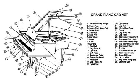 Parts of a grand piano Piano Diagram, Spinet Piano, Piano Tuning, Piano Lessons For Beginners, Baby Grand Piano, Moving A Piano, Piano Parts, Piano Practice, Piano Studio