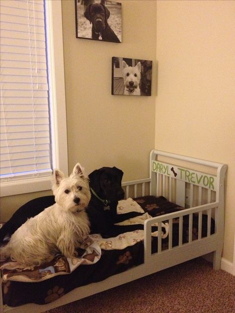 Turn a toddler bed into a dog bed! Crib Mattress Dog Bed, Dogs Room, Diy Toddler Bed, Dog Space, Diy Pet Bed, Mattress Dog Bed, Puppy Room, Baby Crib Mattress, Dog Spaces