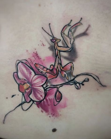 Praying Mantis Drawing Tattoos, Orchid Praying Mantis Tattoo, Orchid Mantis Drawing, Orchid Mantis Tattoo, Praying Mantis Tattoo, Orchid Tattoos, Impulsive Decisions, Mantis Tattoo, Orchid Mantis