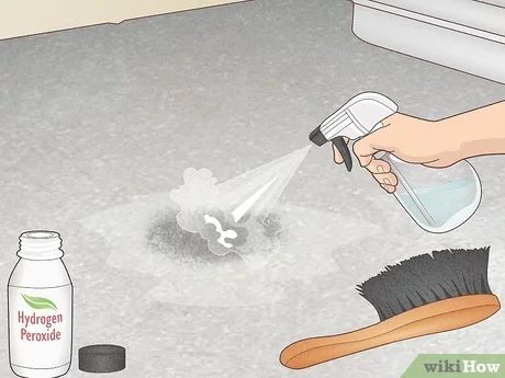 How To Clean Cement Floors, How To Clean Concrete, Clean Cement Floor, How To Clean Concrete Floors Inside, Outdoor Concrete Floors, Cleaning Concrete Floors, Interior Concrete Floors, Pee Stains, Concrete Cleaner