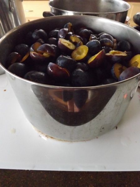 Preserving Plum Pulp For Future Projects « Simply Grateful Canning Canning Plums, Plum Jam, Fruit Leather, Apple Season, Plum Tree, Easter Brunch, Barbecue Sauce, Preserving Food, Pie Filling