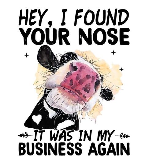 Cow Nose, Cow Quotes, Heifer Cow, Sublimation Ideas Projects Inspiration, Cow Pictures, Cartoon Cow, Good Morning Funny, Cows Funny, Chicken Humor