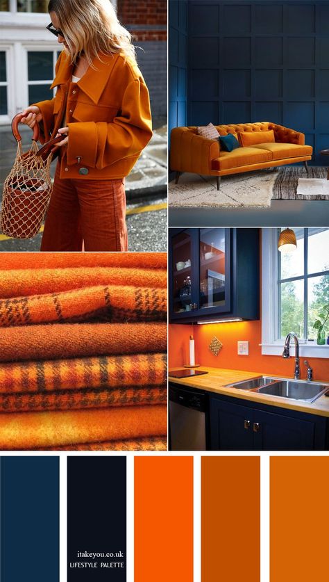 12 home color palettes - Dark Blue and orange colour combos - the perfect autumn colour palette #orange #color #colors #colorcombos #autumn #homedecor Navy Blue And Orange Color Scheme, Dark Grey And Orange Bedroom, Orange And Blue Walls, Blue Orange Gold Color Palette, Dark Wood Color Combination, Dark Blue And Orange Living Room, Blue Orange Decor, Navy Orange Color Palette, Colours That Go With Orange