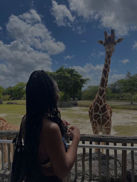 Zoo, miami zoo, Palm beach zoo, giraffe, zoo life, traveling aesthetic, traveling black girl, funny animals Couple Zoo Pictures, Zoo Asethic, Zoo Aesthetic Date, Zoo Aesthetic With Friends, Zoo Date Aesthetic, Zoo Photo Ideas, Zoo Date, Zoo Miami, Snow Vacation